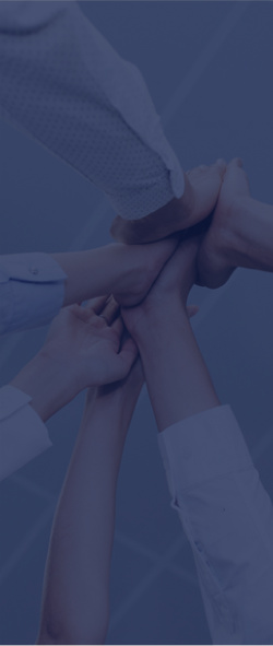 利来·国际(中国)最老牌-中国官网